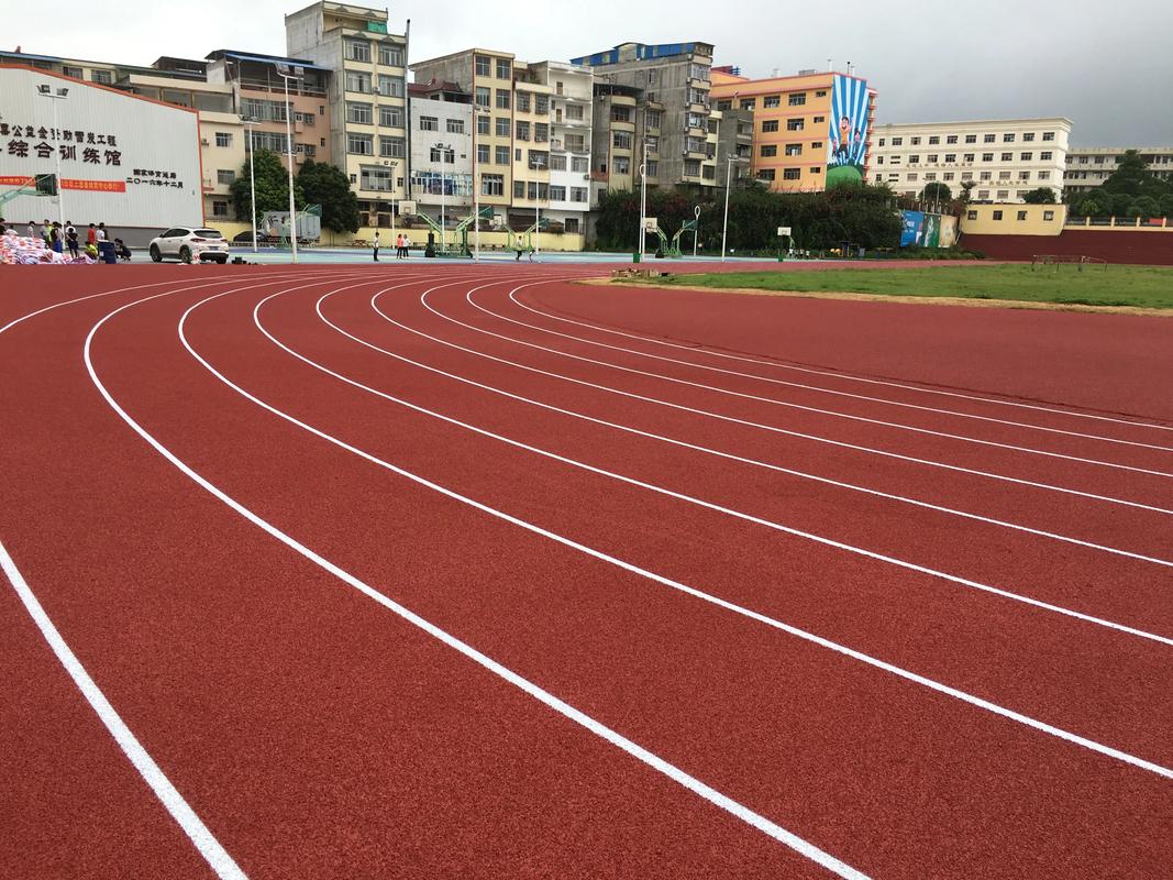 遂宁市塑胶跑道塑胶跑道材料 - 方案